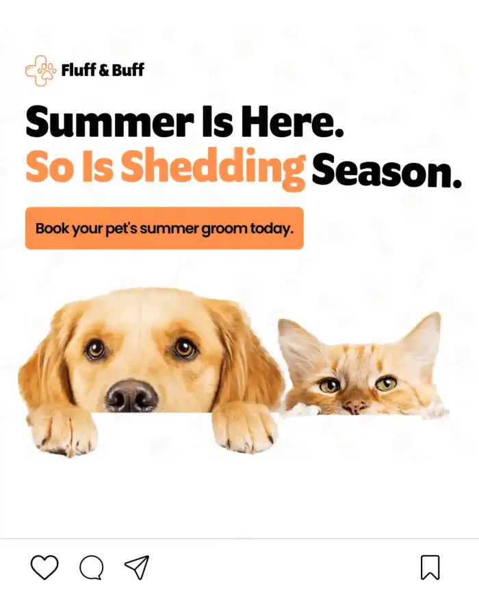 Social media post created for a pet grooming business Social media post created for a pet grooming business
